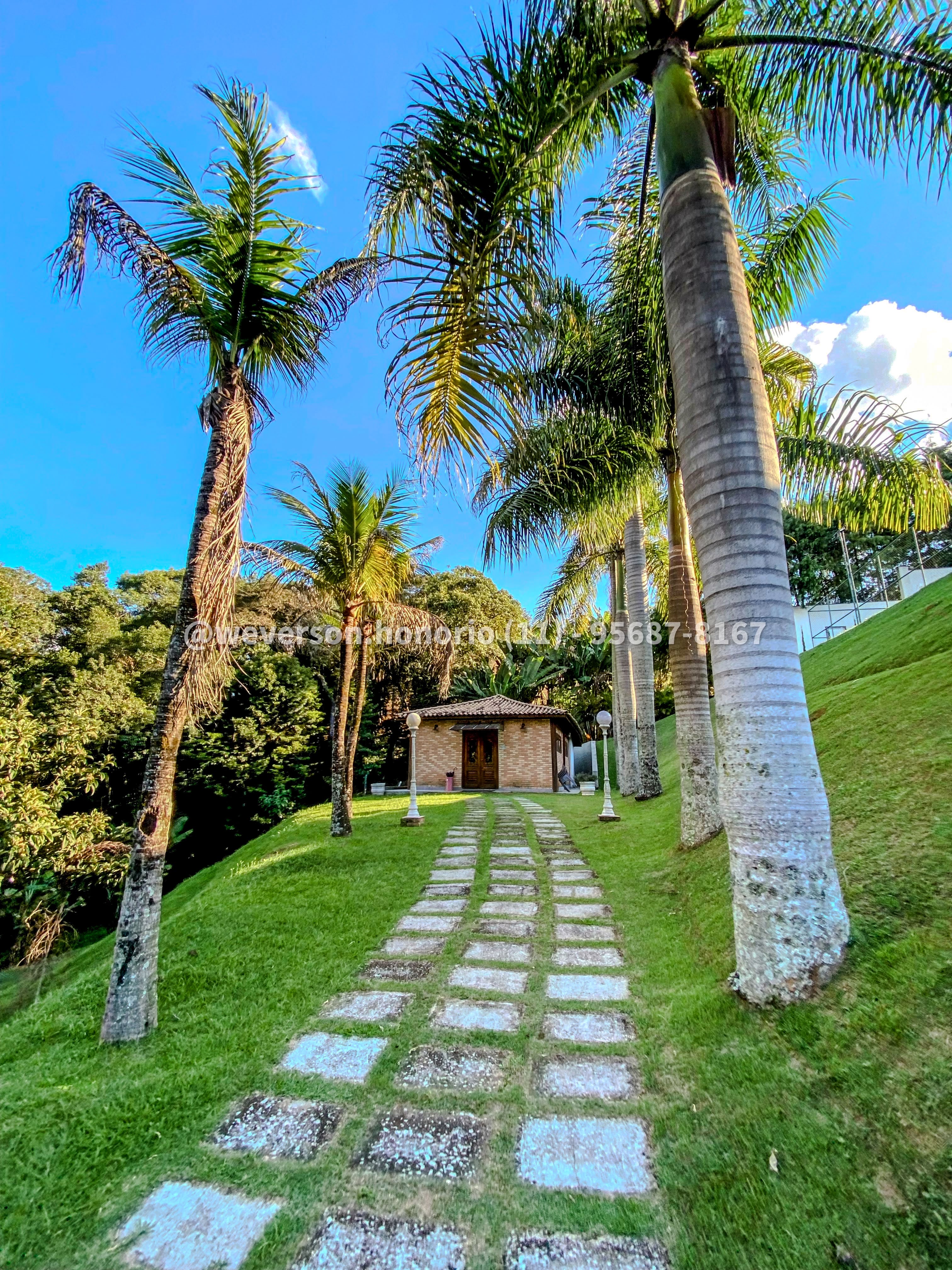Casa com 7 Quartos à Venda, 8.000,00 m² - Foto 6