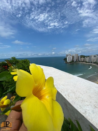 Apartamento com 4 Quartos à Venda - Foto 28