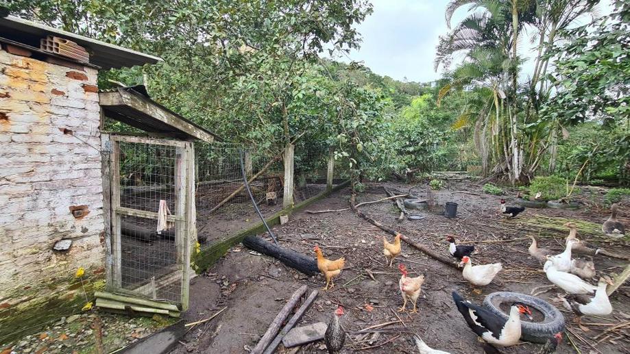 Casa com 2 Quartos à Venda, 30.000,00 m² - Foto 14