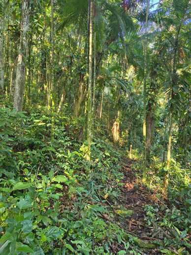 Rural à Venda, 84.700,00 m² - Foto 52