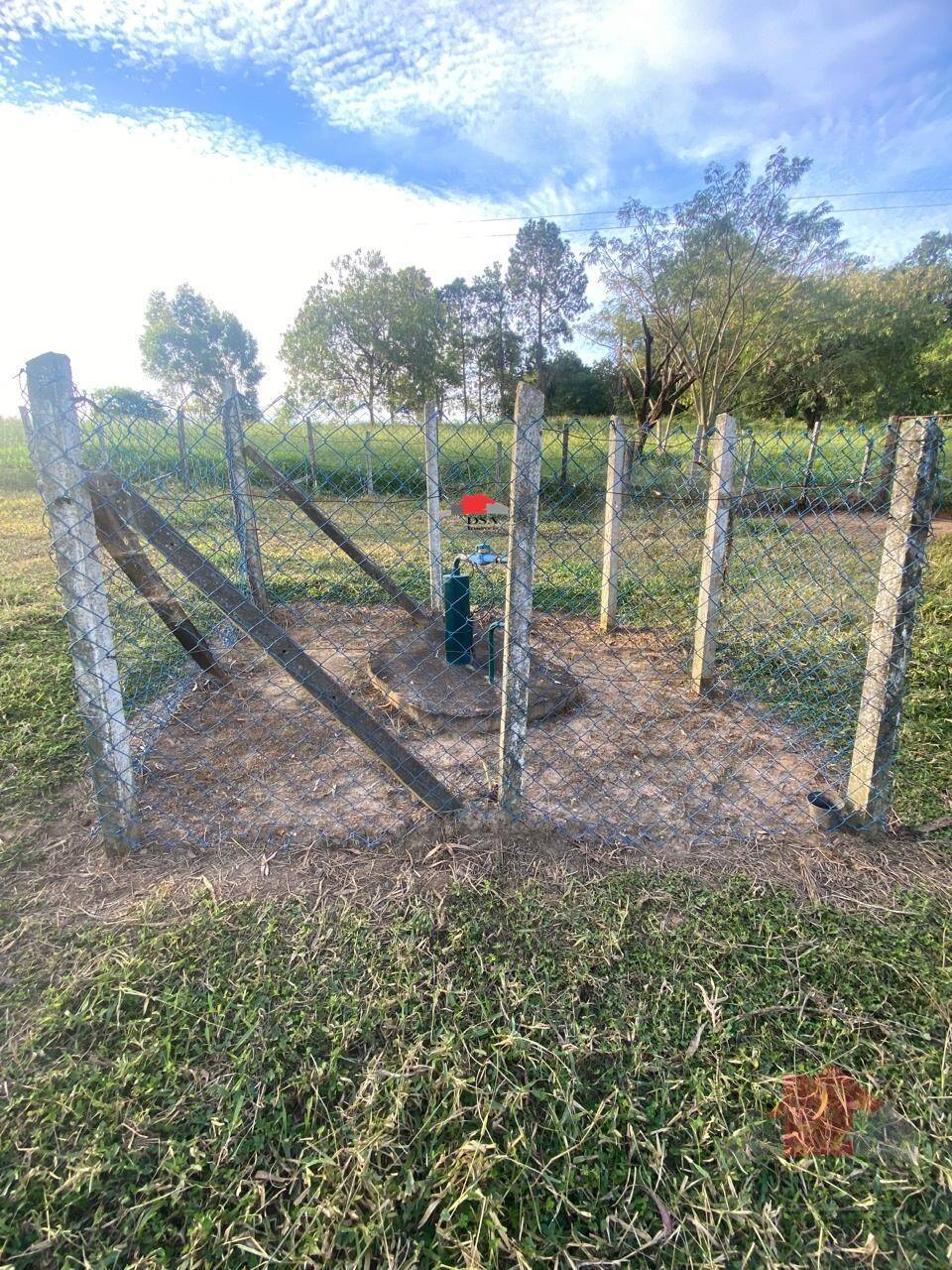 Rural com 2 Quartos à Venda, 24.200,00 m² - Foto 11