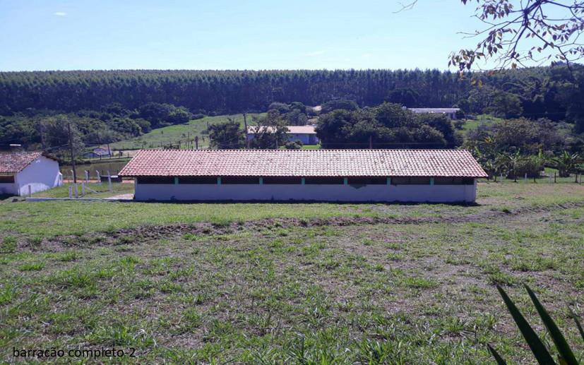 Rural com 7 Quartos à Venda - Foto 11