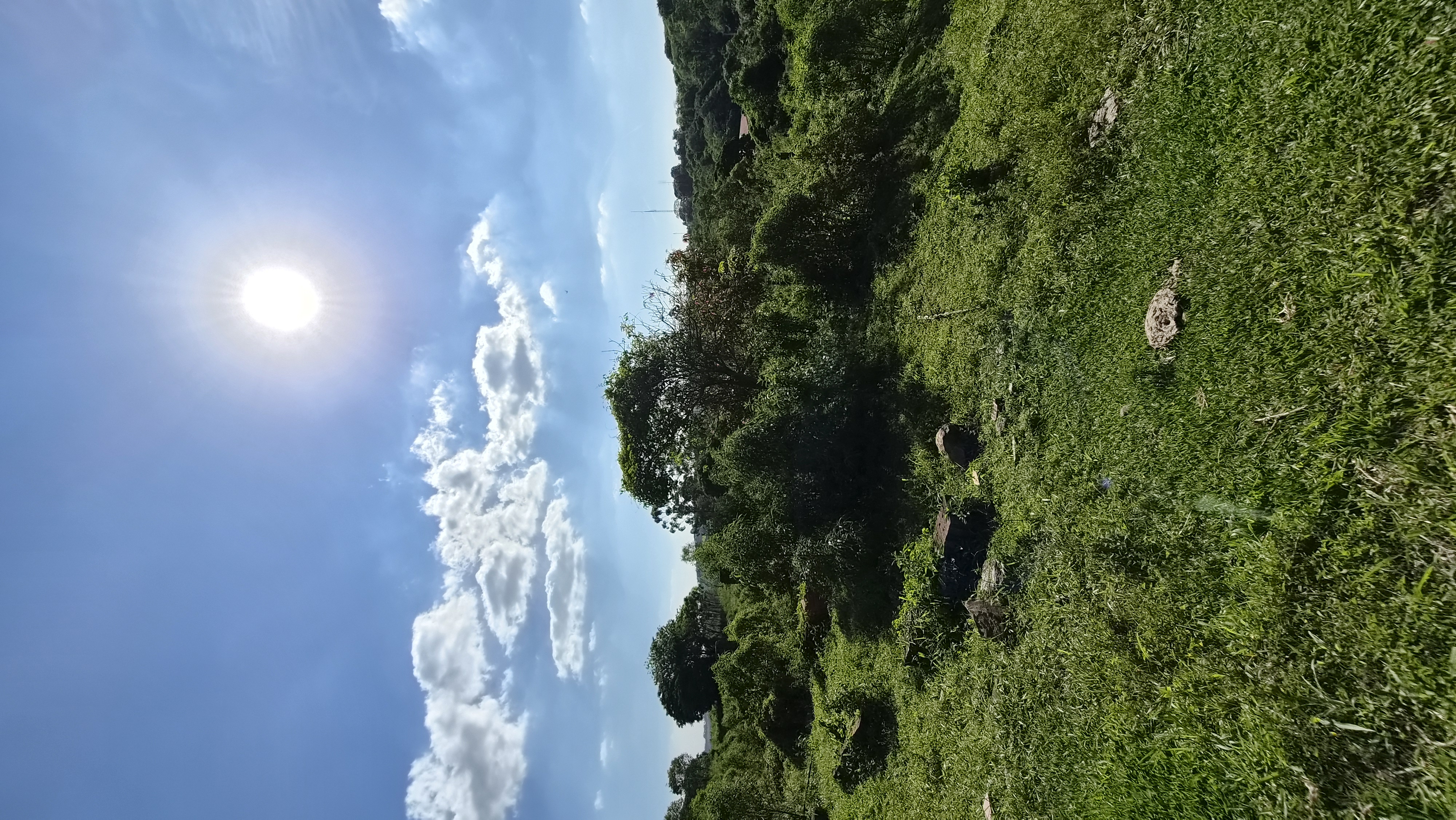 Rural à Venda, 145.585,00 m² - Foto 7