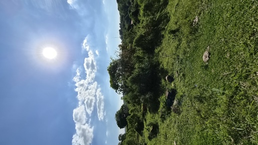 Rural à Venda, 145.585,00 m² - Foto 7