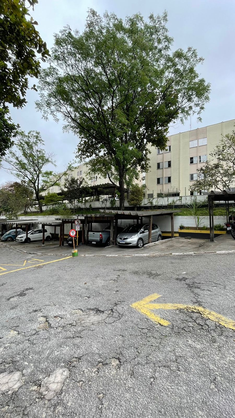 Apartamento com 2 Quartos à Venda, 52,00 m² - Foto 13