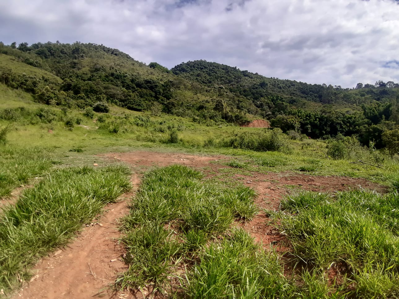 Rural com 3 Quartos à Venda, 314.600,00 m² - Foto 25