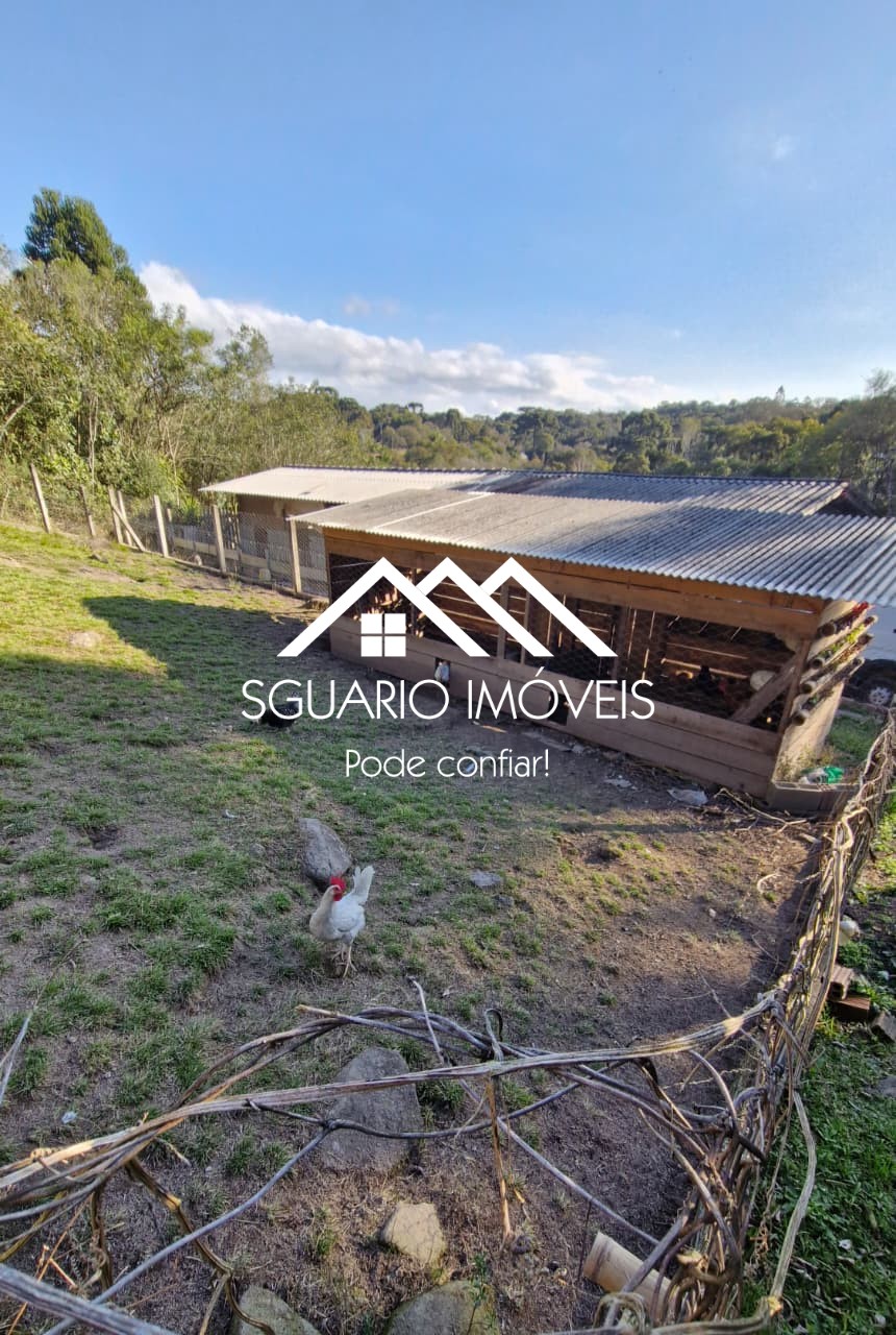 Rural com 4 Quartos à Venda, 7.865,00 m² - Foto 25