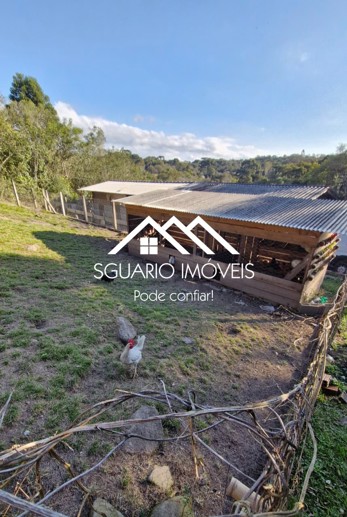 Rural com 4 Quartos à Venda, 7.865,00 m² - Foto 25