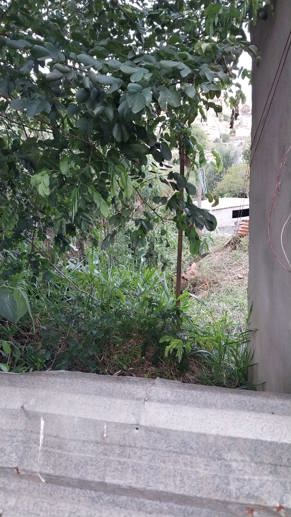 Terreno à Venda - Foto 3