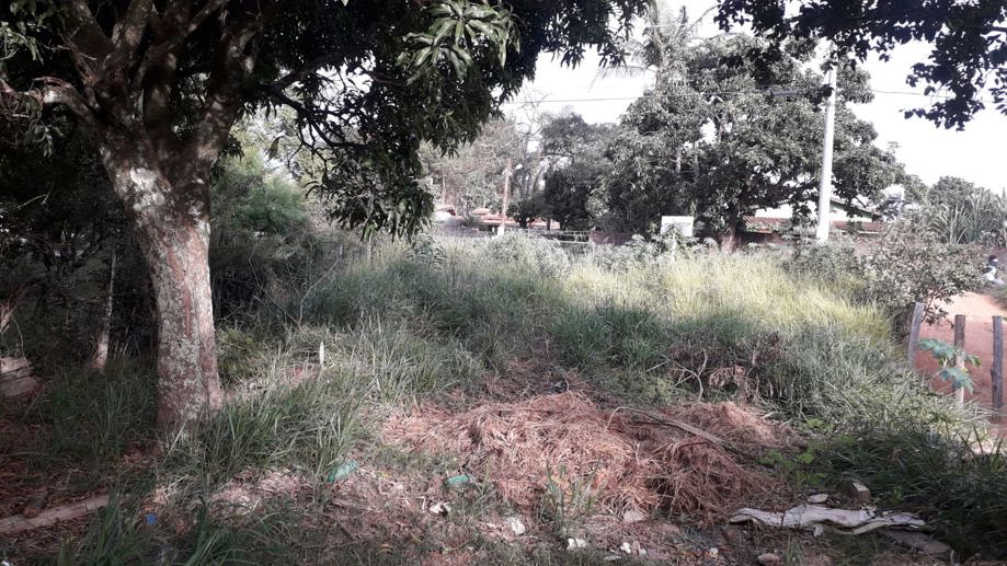 Terreno à Venda, 300,00 m² - Foto 6