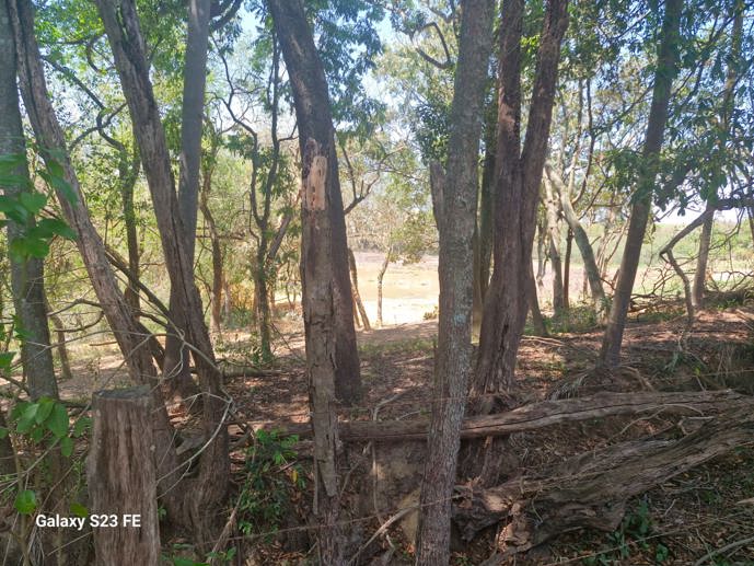 Rural com 4 Quartos à Venda, 31.156,52 m² - Foto 75