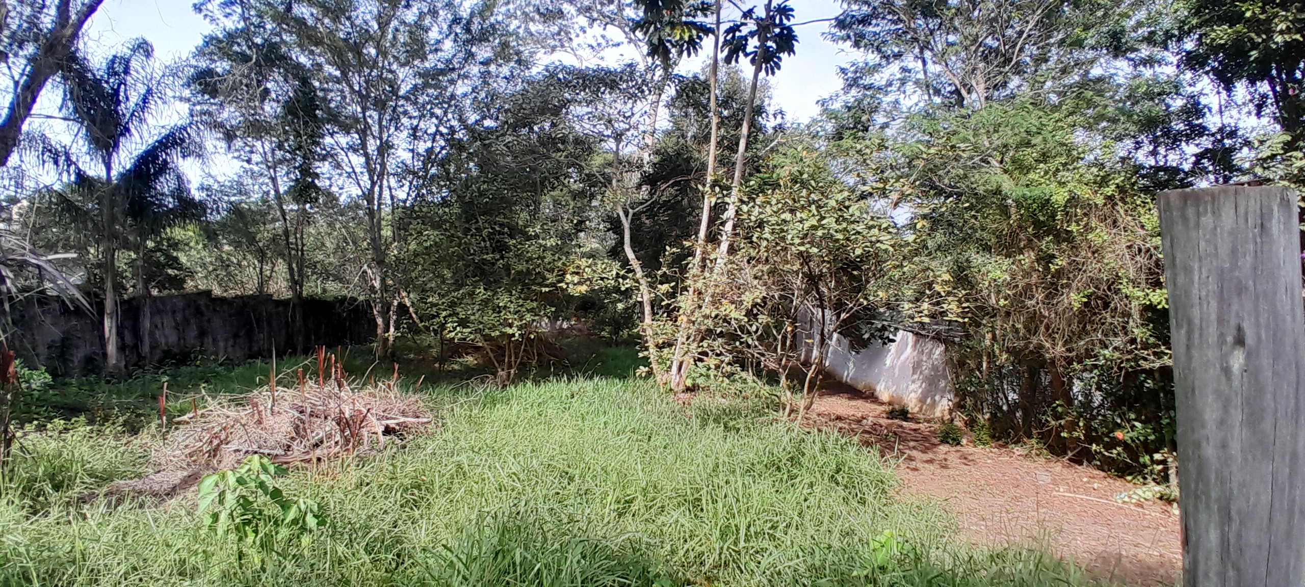 Terreno à Venda, 1.028,93 m² - Foto 3