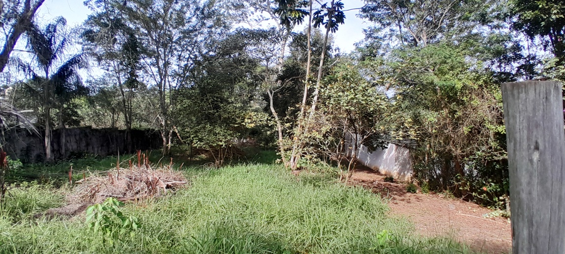 Terreno à Venda, 1.028,93 m² - Foto 3