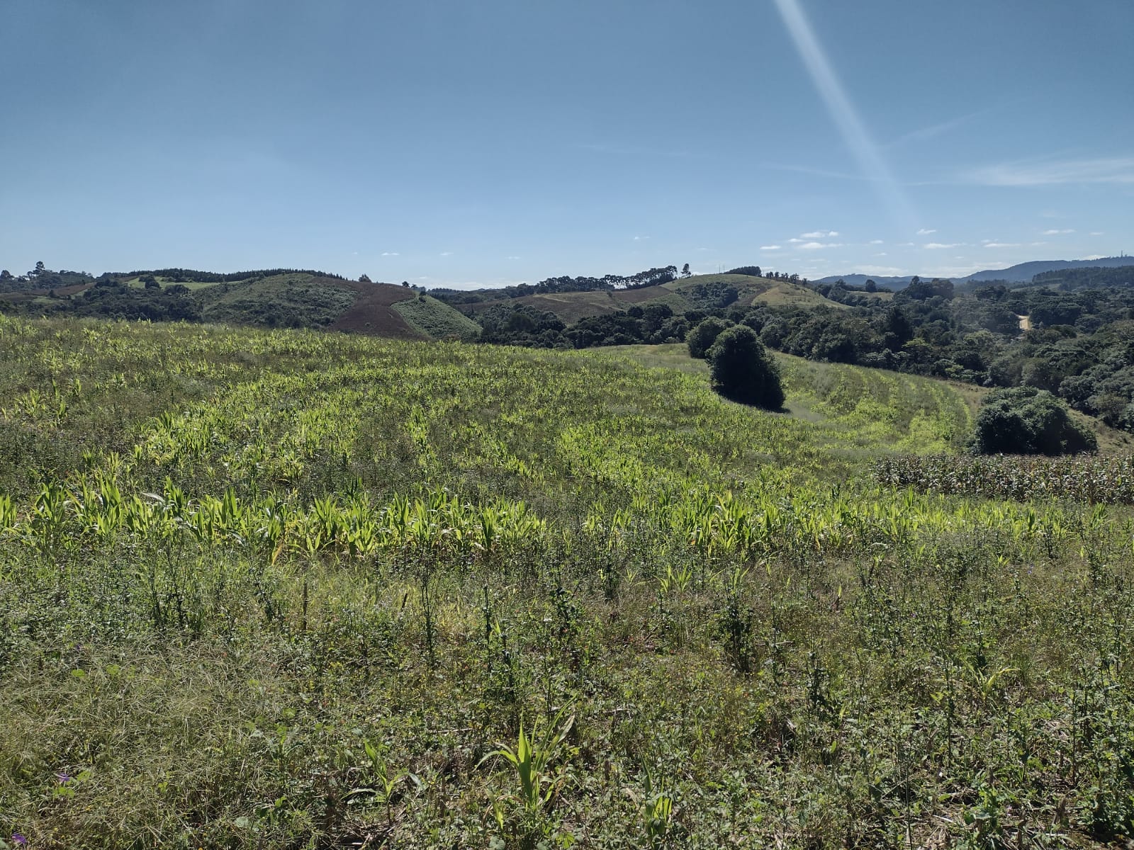 Terreno à Venda, 4.864,18 m² - Foto 7