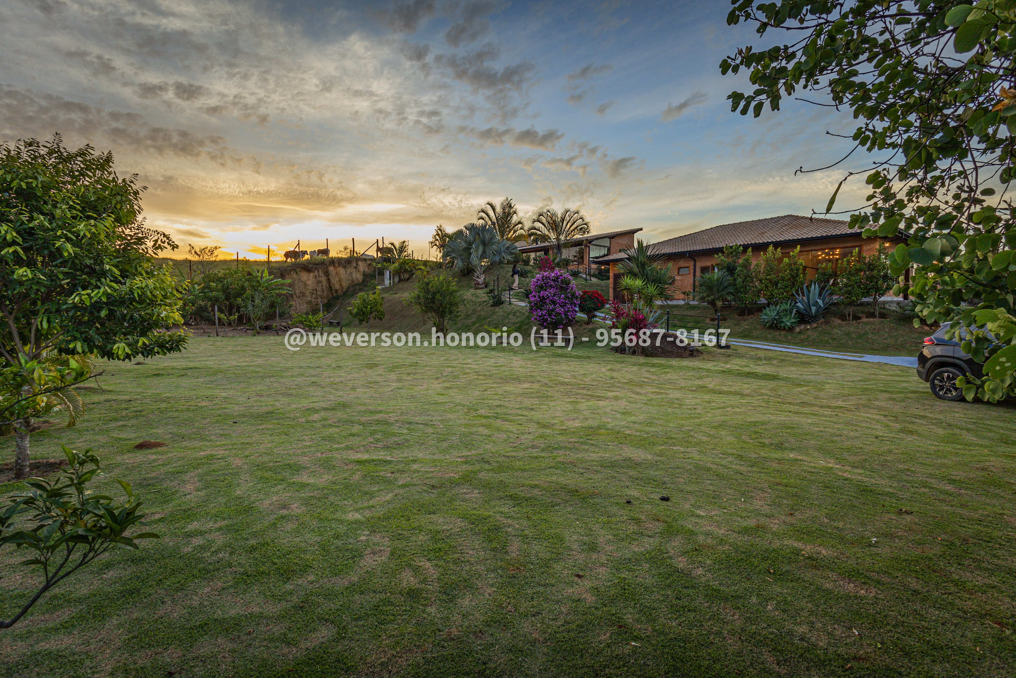 Casa com 4 Quartos à Venda, 2.000,00 m² - Foto 12
