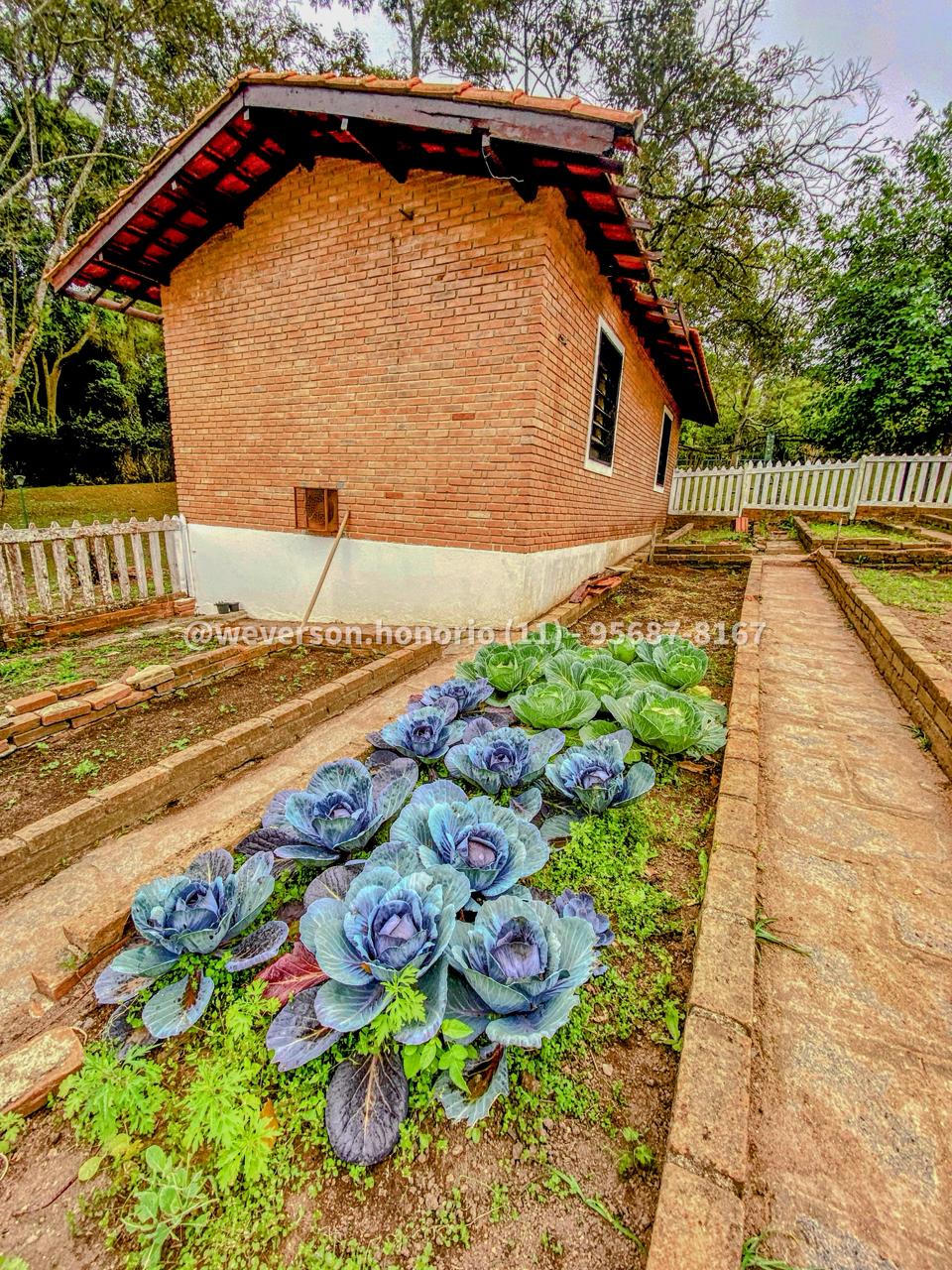 Casa com 4 Quartos à Venda, 10.000,00 m² - Foto 29