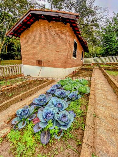 Casa com 4 Quartos à Venda, 10.000,00 m² - Foto 29