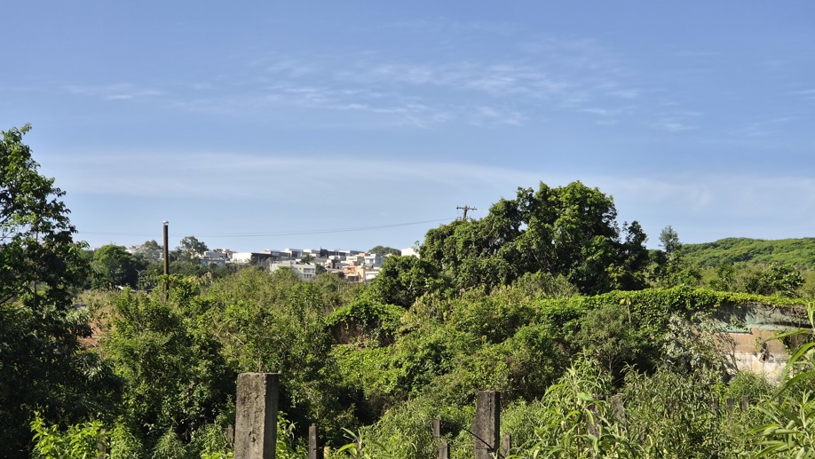 Rural à Venda, 145.585,00 m² - Foto 5