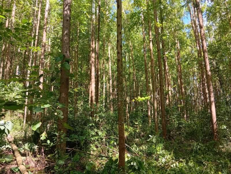 Rural à Venda, 2,40 m² - Foto 4
