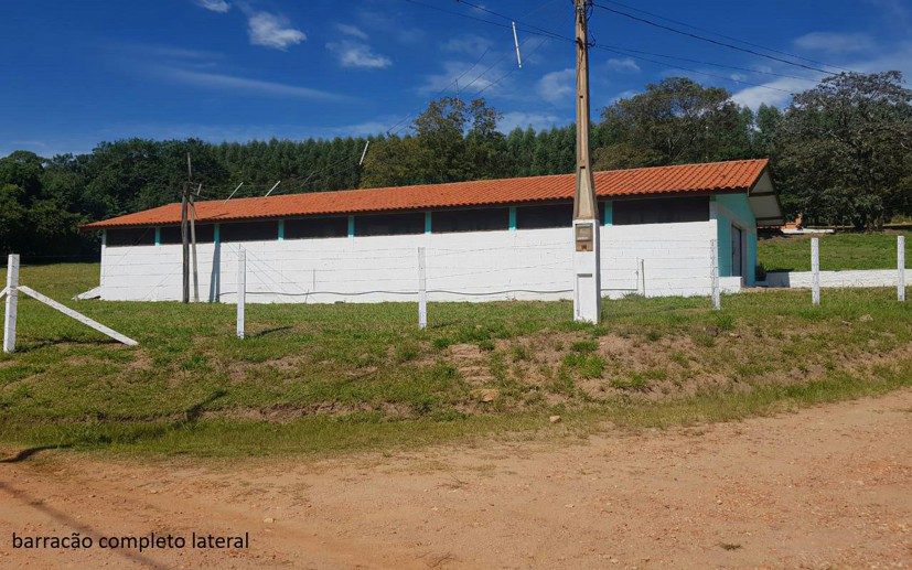Rural com 7 Quartos à Venda - Foto 3