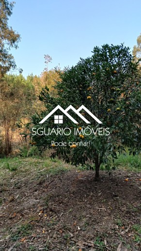 Rural com 2 Quartos à Venda, 26.344,00 m² - Foto 7
