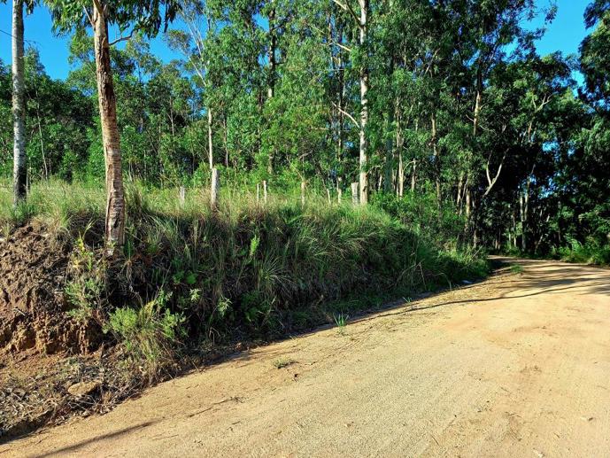 Rural à Venda - Foto 2