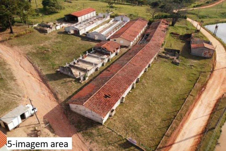 Rural com 7 Quartos à Venda - Foto 6