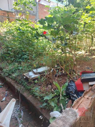 Casa com 5 Quartos à Venda, 250,00 m² - Foto 13