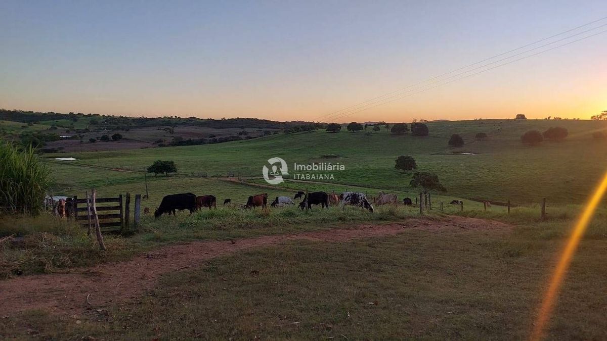 Rural com 5 Quartos à Venda, 868,00 m² - Foto 6