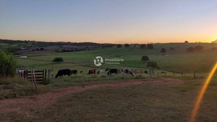 Rural com 5 Quartos à Venda, 868,00 m² - Foto 6