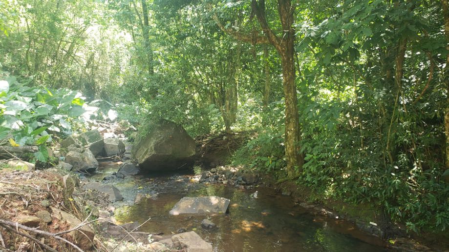 Rural com 2 Quartos à Venda - Foto 3