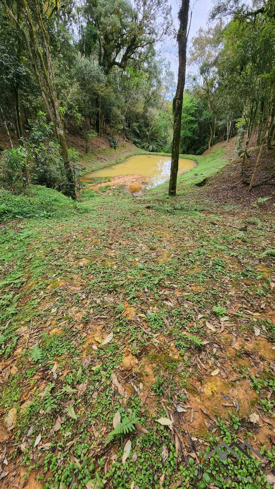 Terreno à Venda, 17.000,00 m² - Foto 9
