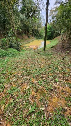 Terreno à Venda, 17.000,00 m² - Foto 9