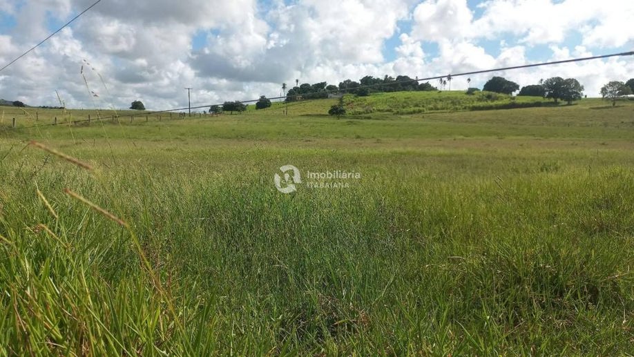 Rural com 5 Quartos à Venda, 868,00 m² - Foto 26