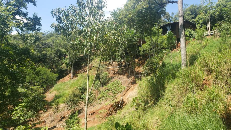 Rural com 2 Quartos à Venda - Foto 14