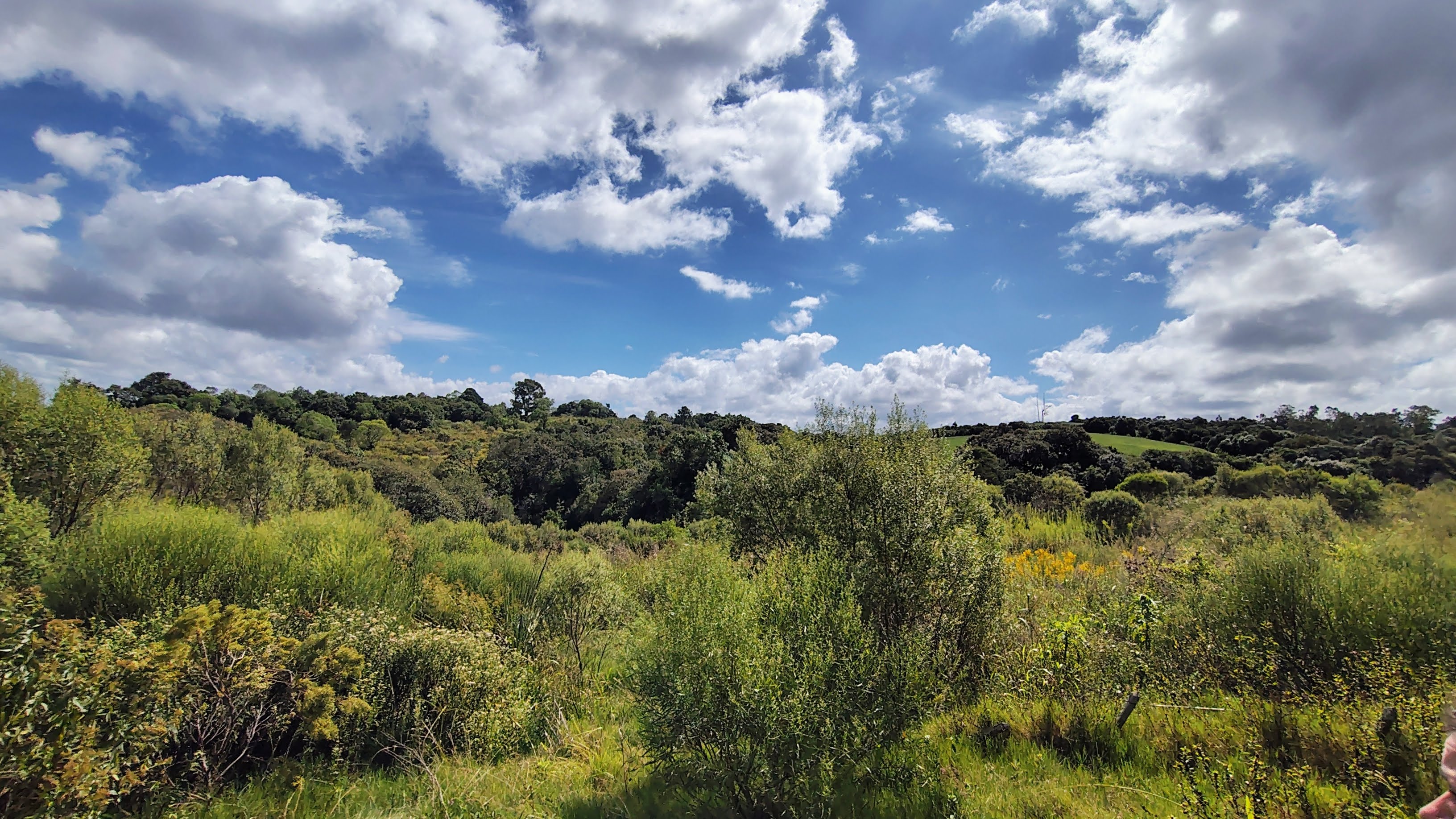 Rural à Venda, 16,00 m² - Foto 1
