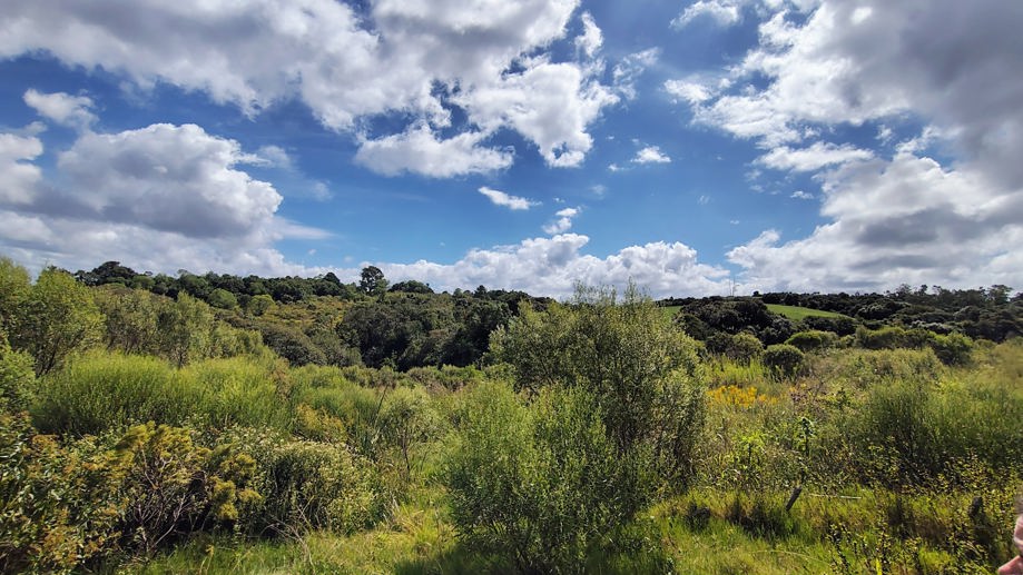 Rural à Venda, 16,00 m² - Foto 1