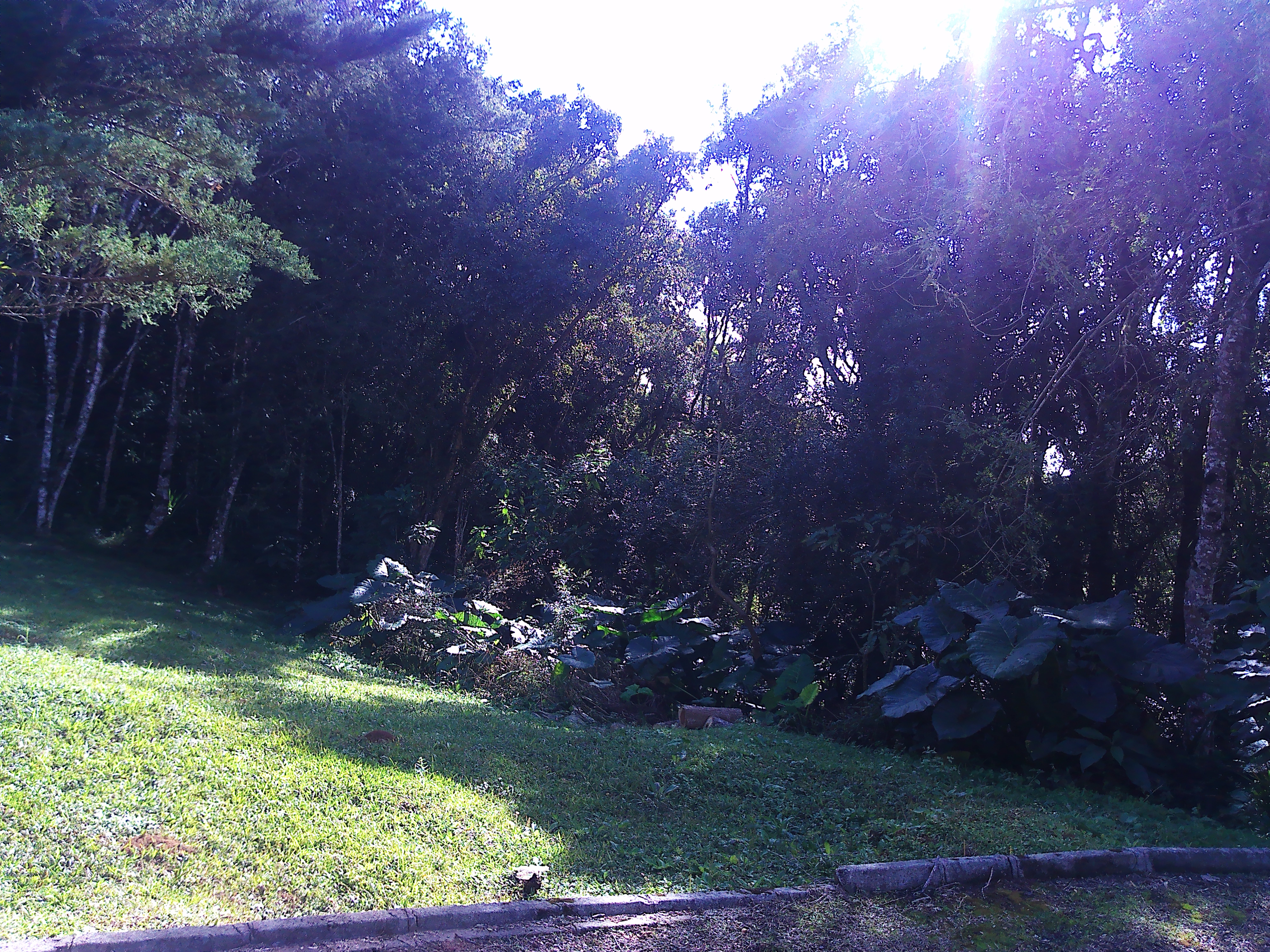 Rural com 3 Quartos à Venda, 1.237,22 m² - Foto 78