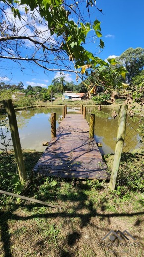 Rural à Venda, 6.530,00 m² - Foto 15