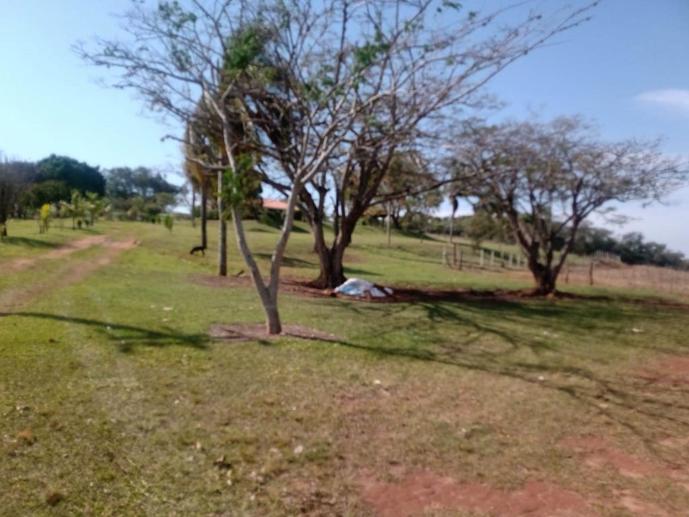 Rural à Venda - Foto 11