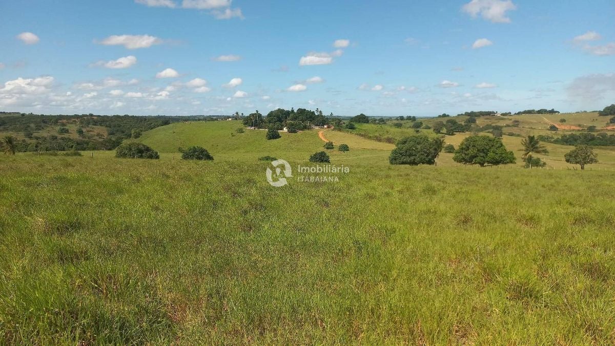 Rural com 5 Quartos à Venda, 868,00 m² - Foto 40