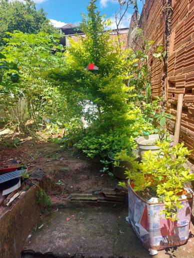 Casa com 5 Quartos à Venda, 250,00 m² - Foto 11