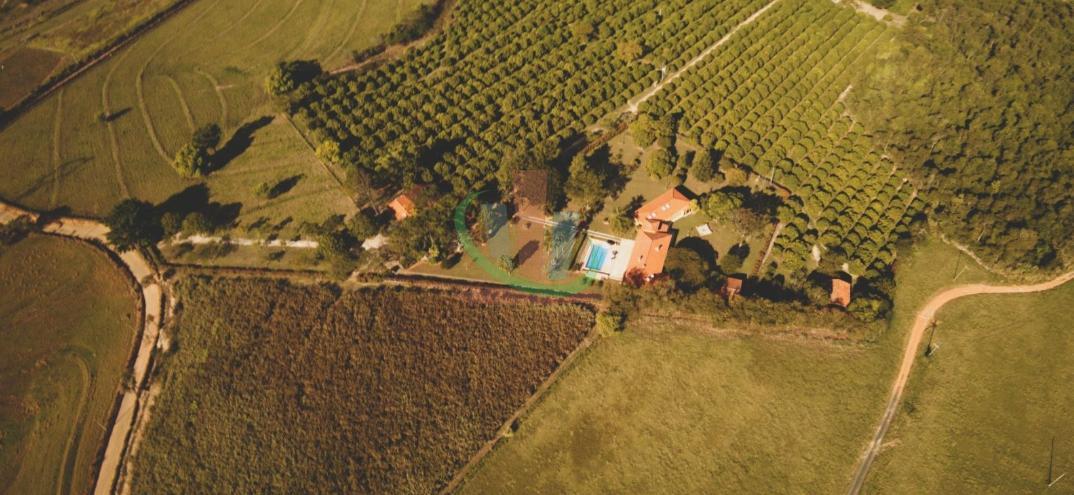 Rural com 4 Quartos à Venda, 241.000,00 m² - Foto 24