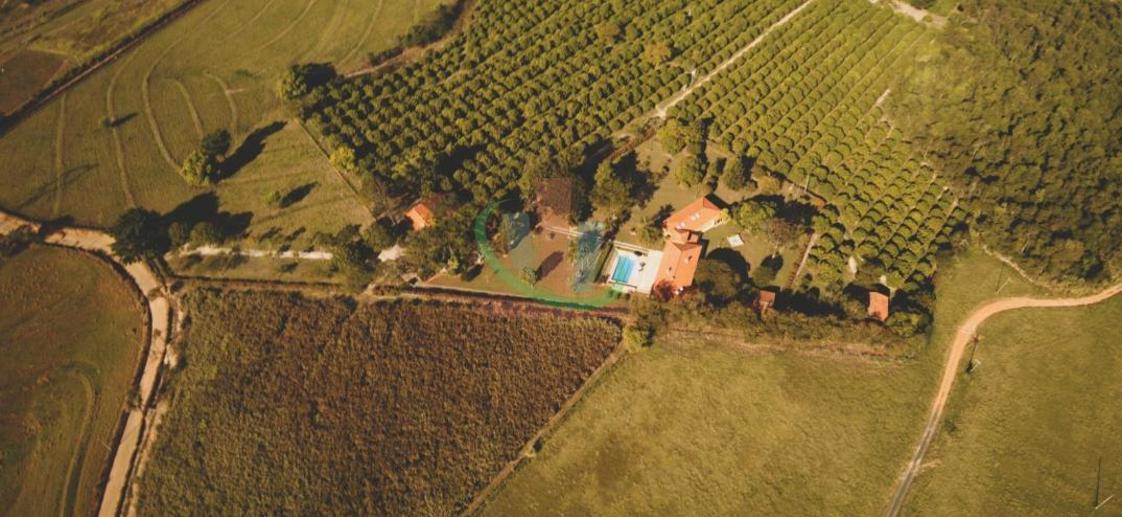 Rural com 4 Quartos à Venda, 241.000,00 m² - Foto 24