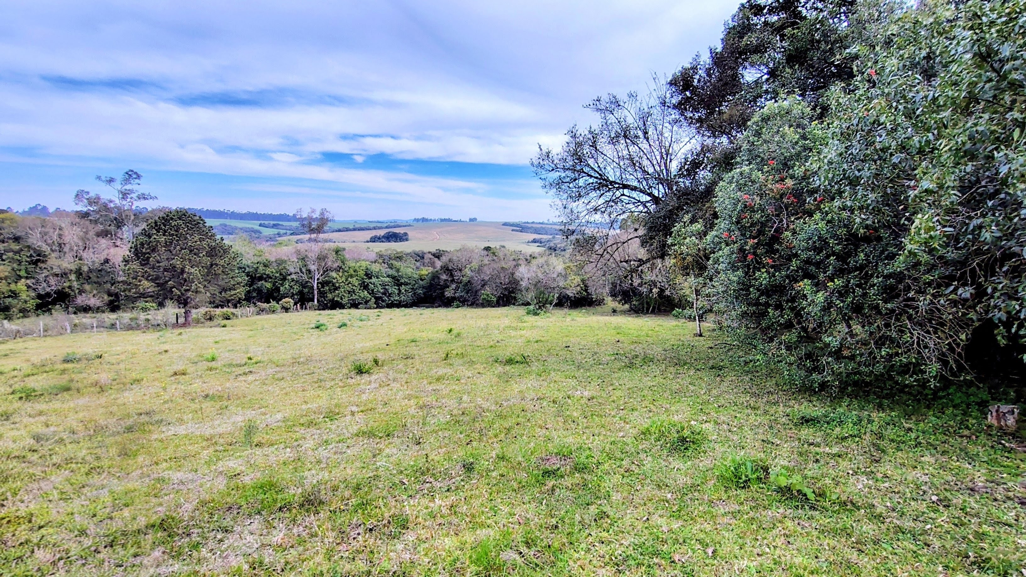 Rural com 2 Quartos à Venda, 20.000,00 m² - Foto 19