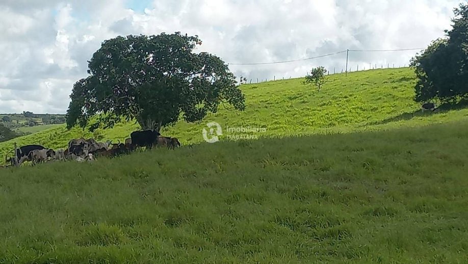 Rural com 5 Quartos à Venda, 868,00 m² - Foto 29