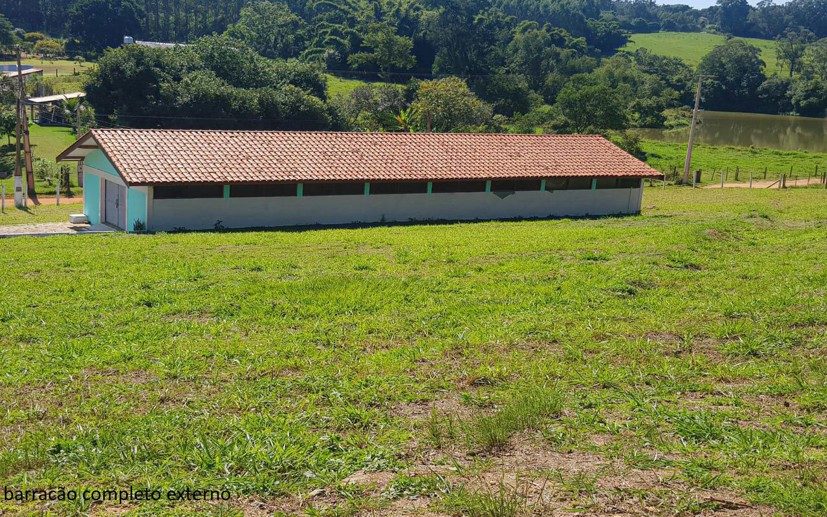 Rural com 7 Quartos à Venda - Foto 13