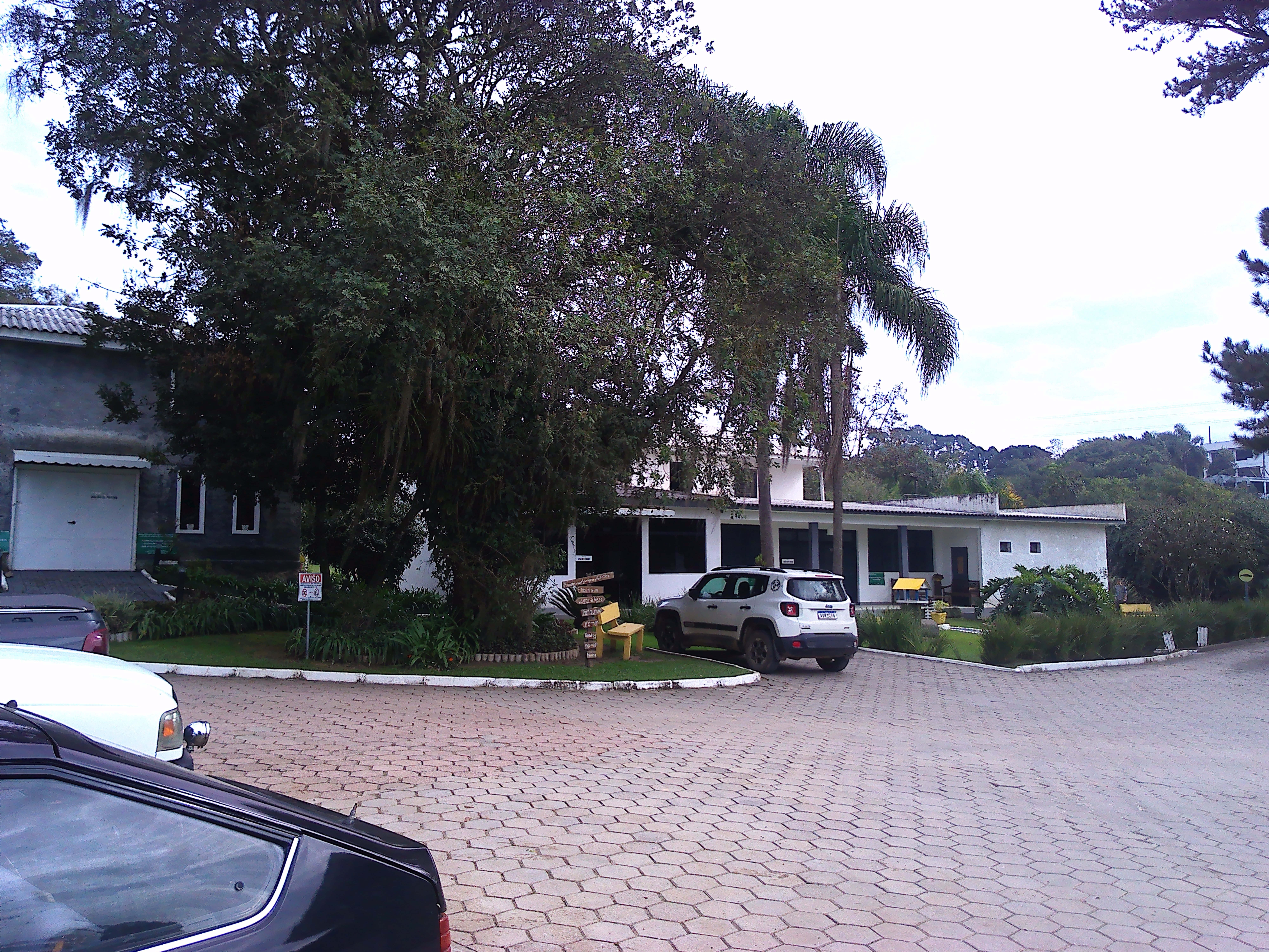 Rural com 3 Quartos à Venda, 1.237,22 m² - Foto 182