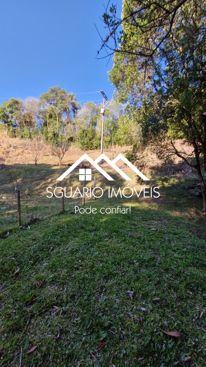 Rural com 4 Quartos à Venda, 7.865,00 m² - Foto 27