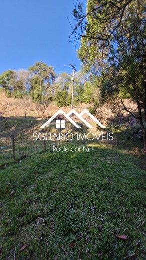 Rural com 4 Quartos à Venda, 7.865,00 m² - Foto 27